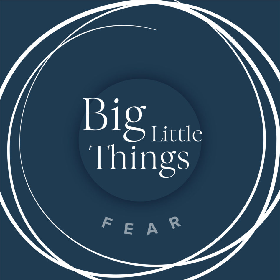 Big Little Things - Fear