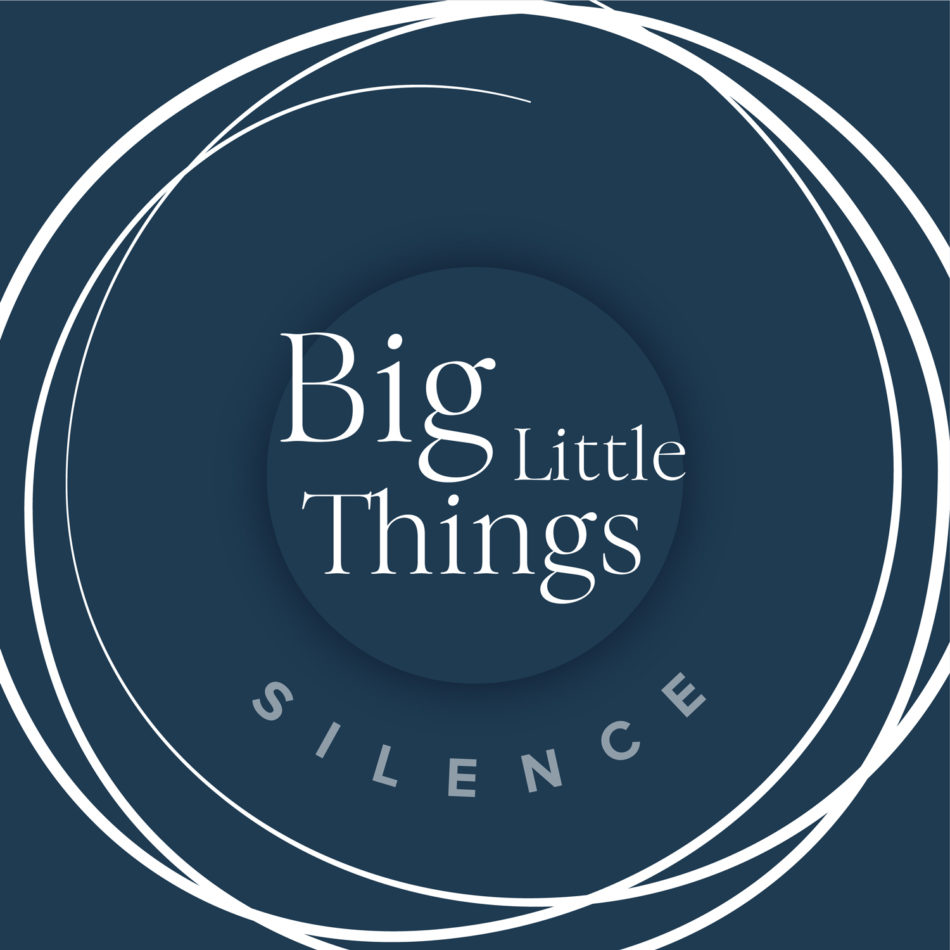 Big Little Things - Silence