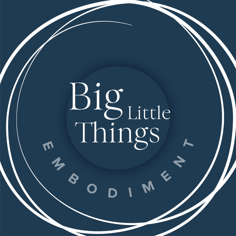 Big Little Things - Embodiment