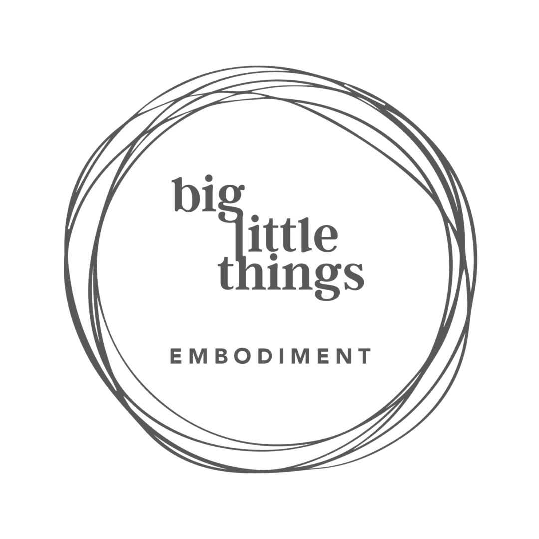 Big Little Things - Embodiment